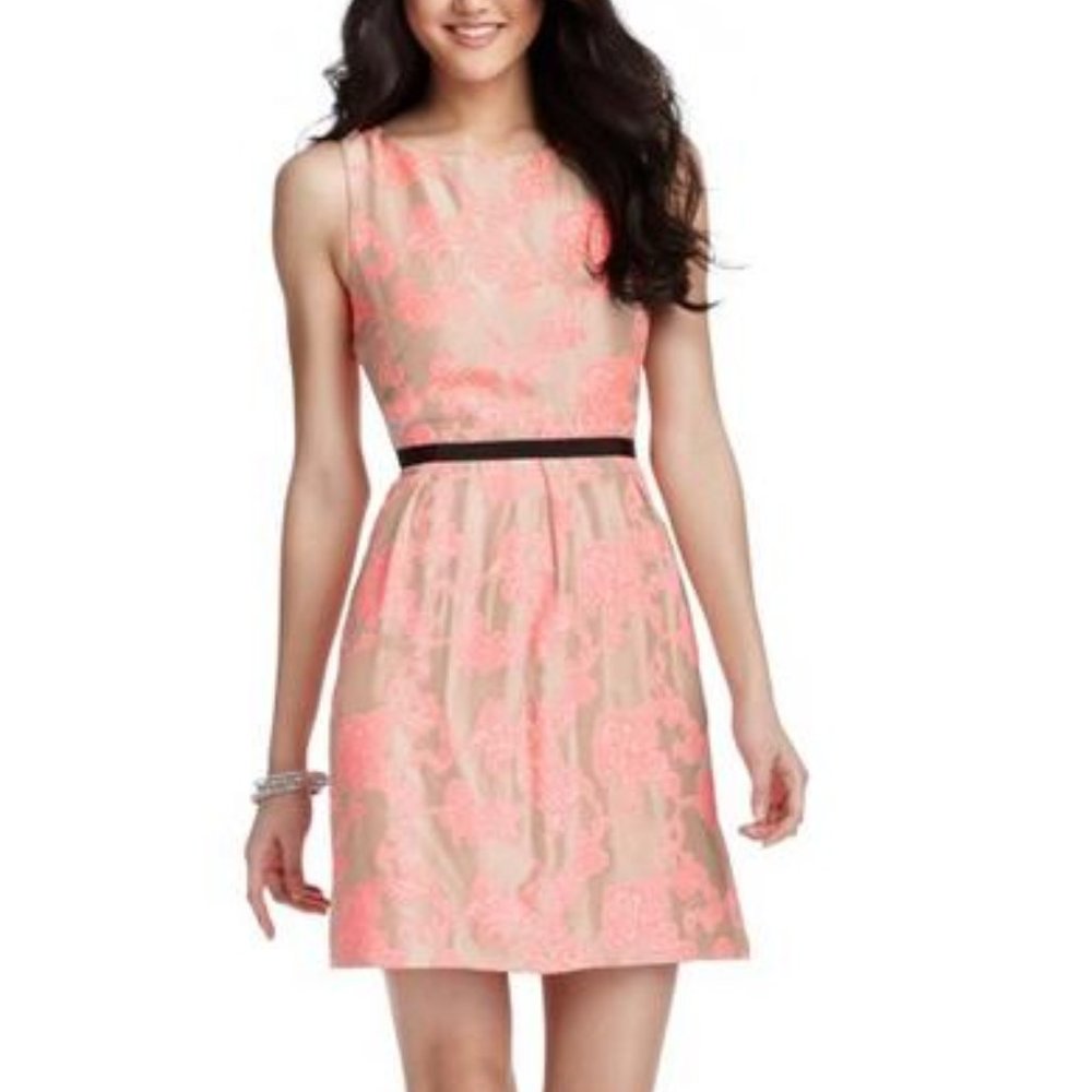 Ann Taylor Loft Floral Jacquard Pink Dress 0P